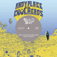 Andy Place & The Cool Heads - Feels Like A Dream Ep