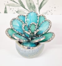 Image 1 of Stained Glass Rounded Leaf Succulent 