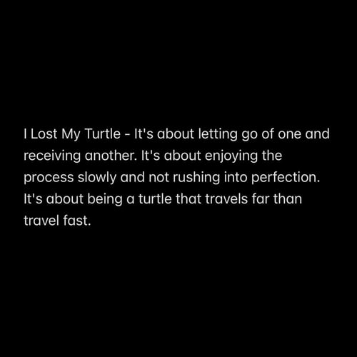 Image of I LOST MY TURTLE