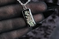 Image 12 of dead good grass pendant 