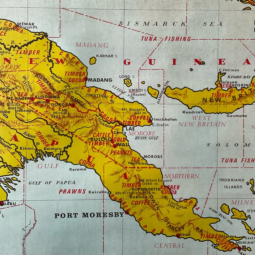 Image of New Guinea Map