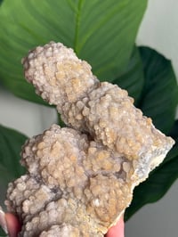 Image 2 of SELF STANDING SPARKLY APOPHYLITE STALACTITES -INDIA- G