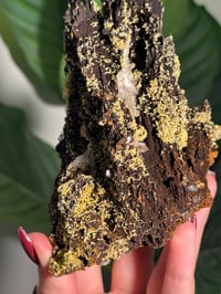 Image 2 of SELF STANDING ONE OF A KIND MIMETITE -MEXICO-