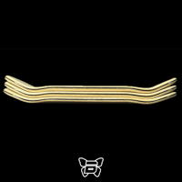 Image 2 of Higher_standards_13 4