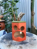 Image 1 of Rustic Orange