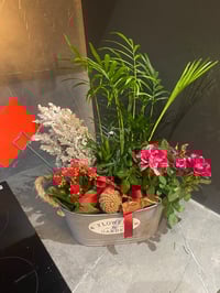 Image 4 of Christmas planter 