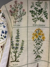 Image 20 of The herb garden (m/l)