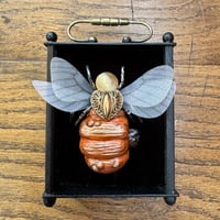 Image 1 of Pumpkin bee (c, 3 x 4 inches)