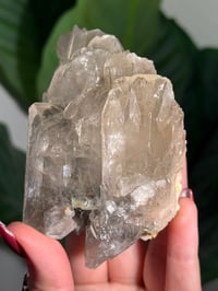 Image 3 of PHANTOM BARITE -MOROCCO- C