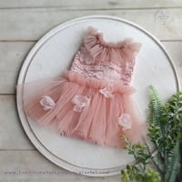 Image 1 of  Belinda newborn body-dress light pink