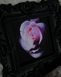 Image 2 of ‘Sweet Desire’ Framed Print