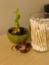 Image 3 of Moody The Cocoa swirl cow 