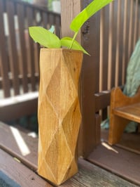 Image 2 of Lemon Lime Pothos in Tall Wooden Vase