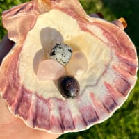 Image 2 of Love Tumble Sets