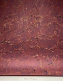 Marbled Acrylic I Permanent Collection - Vintage Claret