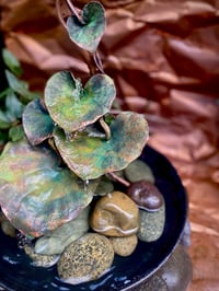 Image 3 of 🧡💚🩵5 Hearts💚🧡