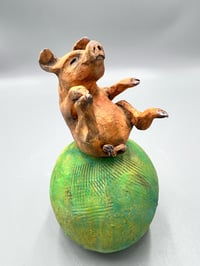 Image 1 of In a world of chaos, the pig stands firm - Julie Kradel