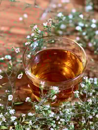 Image 1 of Peppermint+Chamomile Tea