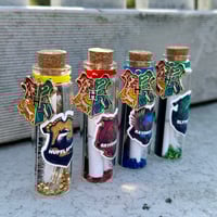 Image 16 of HP Houses - Message in a Bottle