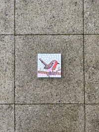 Image 2 of Robin Pseudo-Mosaic