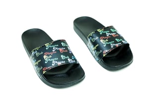 Image of Playas club slides