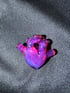 Pop Anatomical Heart Image 2