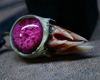 Image 19 of Magenta Bloom Snaggletooth Pendant OOAK