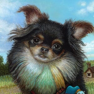 Image of Lil’ Pooch on the Prairie