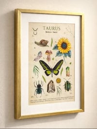 Image 10 of Vintage Taurus Nature Chart