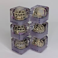 Image 2 of Forgotten Hope - Regrowth<br>Single pip d6