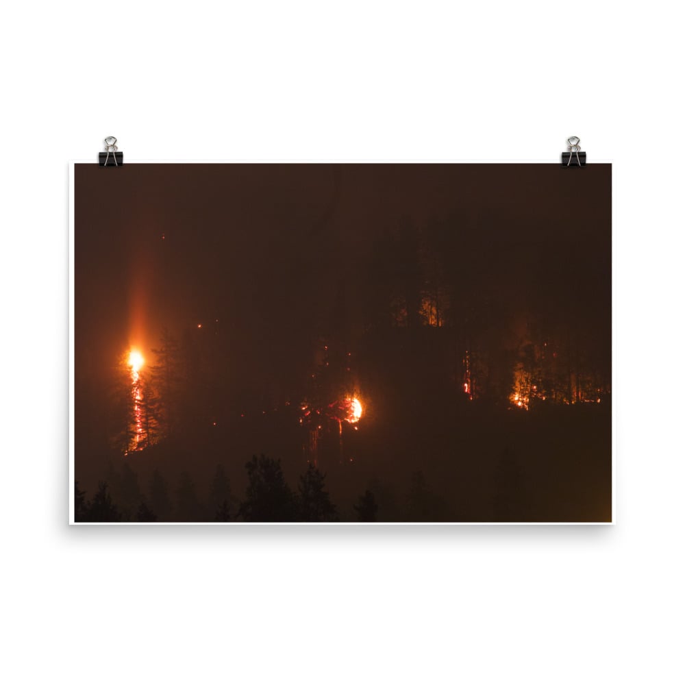 Image of 2017 Oregon