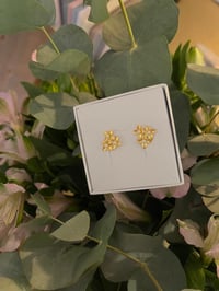 Image 2 of Blossom øredobber med ferskvannsperler