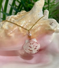 Image 2 of Scallop Shell Necklace N194