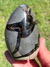 Image 5 of Septarian Nodule Polished Freeform | Madagascar #2900