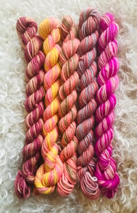 Image 1 of Hand Dyed Alpaca Packs 
