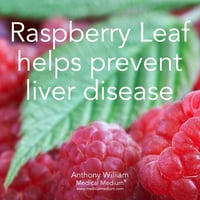 Image 3 of Organic Red Raspberry Leaf Herbal Extract