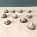 Image of Pottery limpet shells