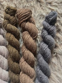 Image 3 of Mini Bundle #2 - 100G Hand Dyed Kent Romney Mini Skeins