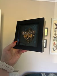 Image 2 of Yellow Bands Underwing Frame