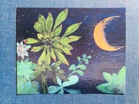 Image 2 of Succulents at Night A Fine Art Print 9”x 12” 