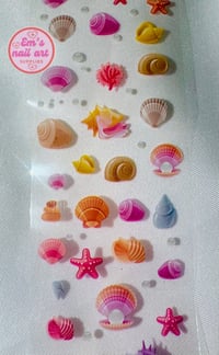 Image 1 of seashells. 