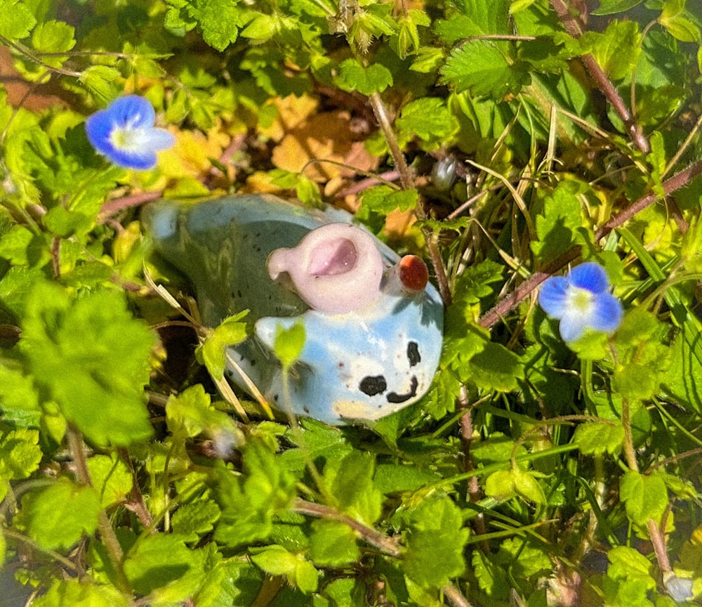 Image of slug tea party fwend