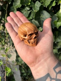 Image 1 of Olive wood skull