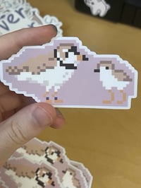 Image 1 of Pixel Conservation 