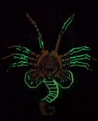 Image 3 of Xeno 1 