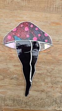 Image 4 of Mushroom bum 9