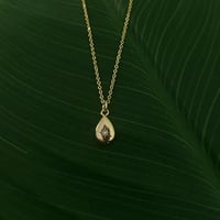 Image 1 of Golden Teardrop