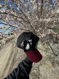 Image 7 of 198 Black and Burgandy 