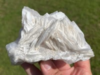 Image 2 of Sandwich UV Calcite Specimen #2202
