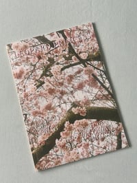 ISSUE 4